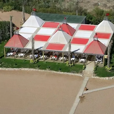 Grand Pearl & シダ