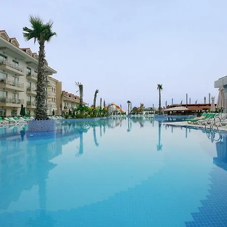 Grand Pearl & シダ