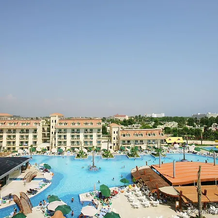 Grand Pearl & シダ